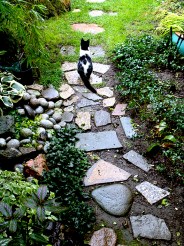 MINNIE IN GARDEN 2015 copy