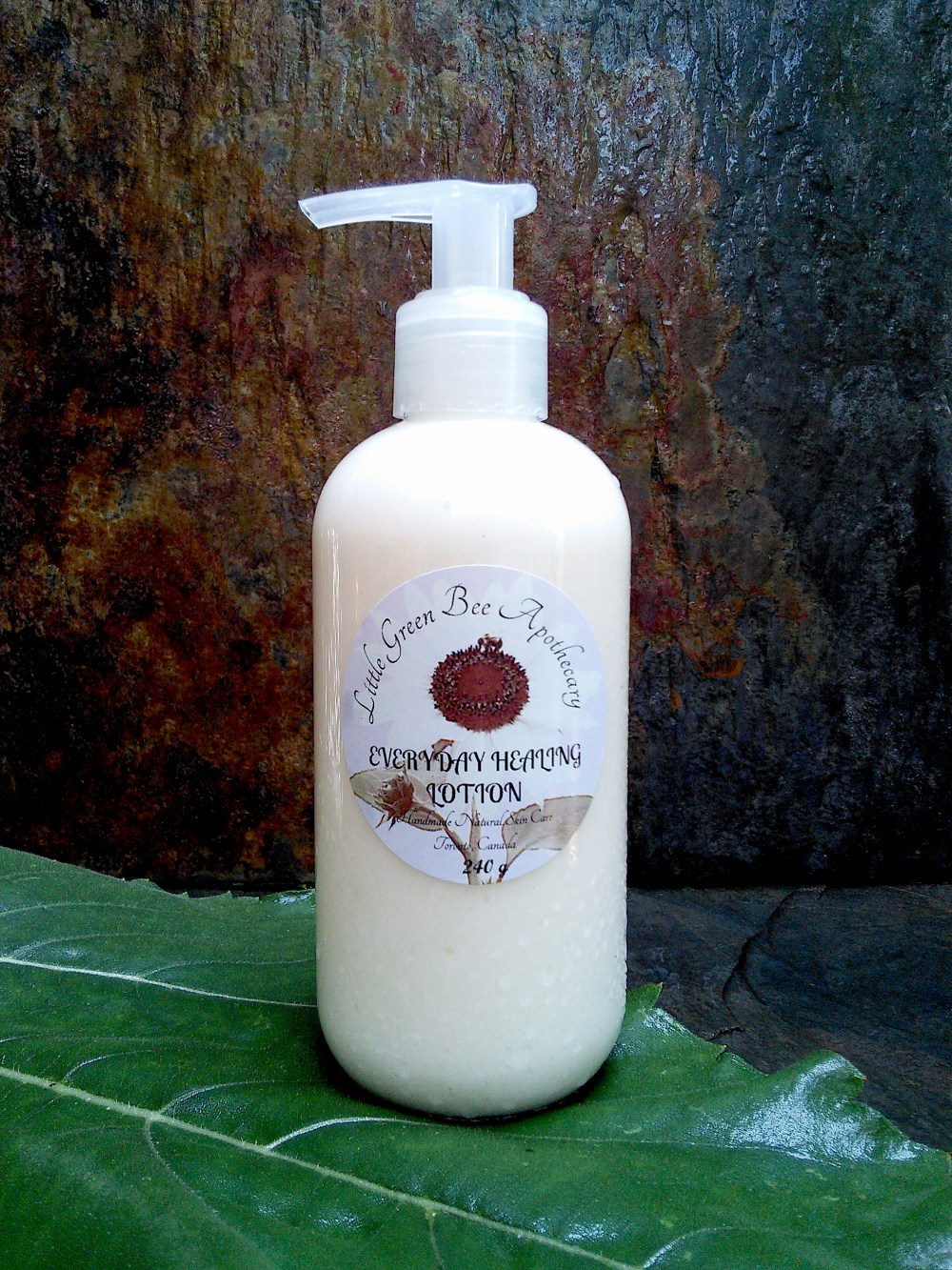 EVERYDAY HEALING LOTION ~ NEW LABEL*