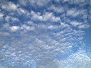 WHITE CLOUDS & SKY