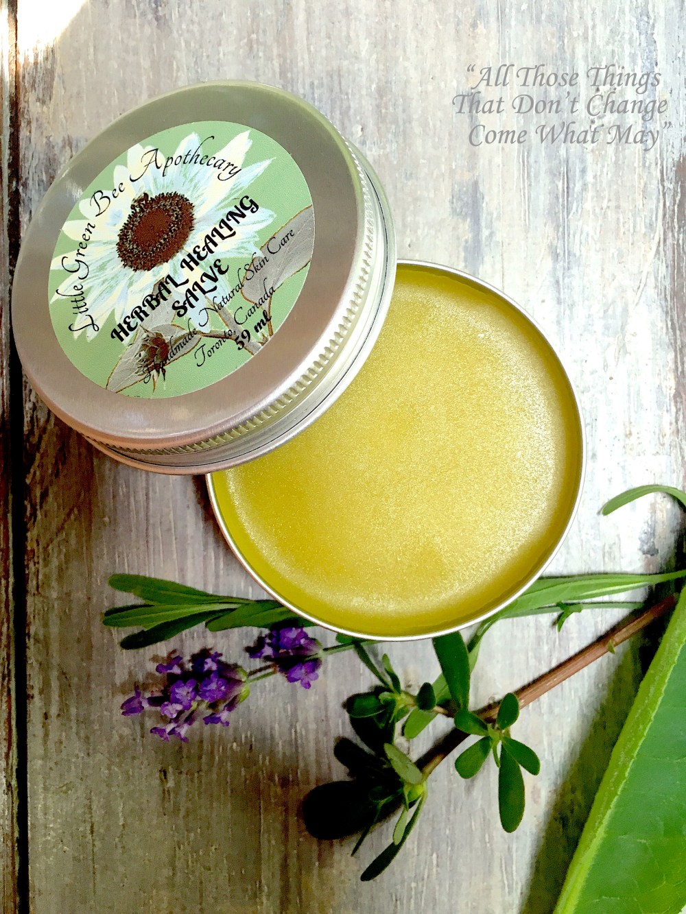 HERBAL HEALING SALVE copy