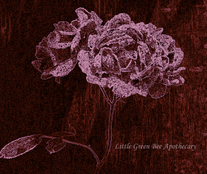 CROPPED GLOWING ROSE watermark